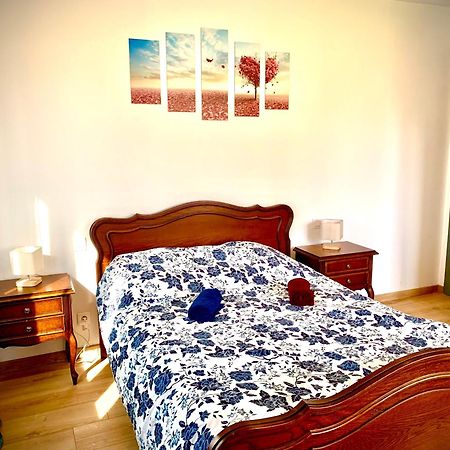 L Indemodable Renove Spacieux Et Lumineux Avec 2 Chambres 萨尔堡 外观 照片