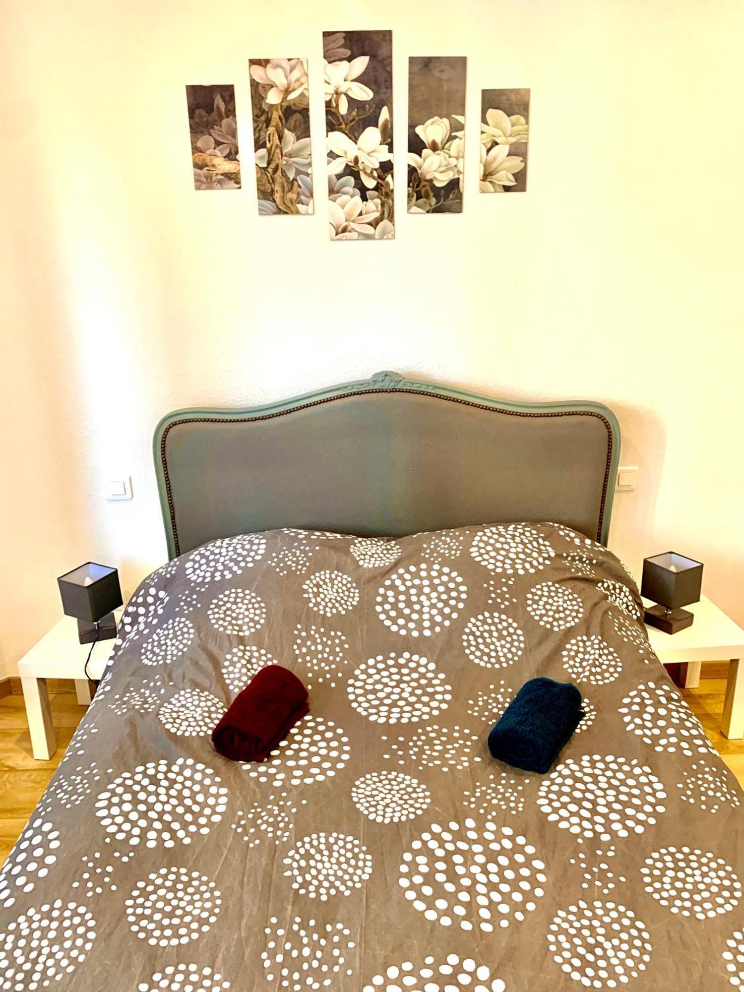 L Indemodable Renove Spacieux Et Lumineux Avec 2 Chambres 萨尔堡 外观 照片